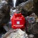 Lifesystems Waterproof First Aid Kit, 2020