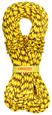 Dynamic rope Tendon Master 9.7 STD bicolor 50 m