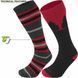 Термошкарпетки Lorpen S2WLN Ski-Snowboard Merino 2 Pack red M