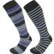 Термошкарпетки Lorpen S2WLN Ski-Snowboard Merino 2 Pack purple S