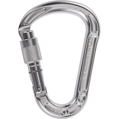 Carabiner Climbing Technology Concept SG silver, 2C33800XTB