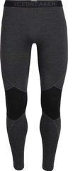 Термоштани чоловічі Icebreaker 260 Zone Leggings MEN JET hthr/black, S
