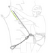 Via ferrata lanyard Petzl Scorpio Eashook, L060BB00