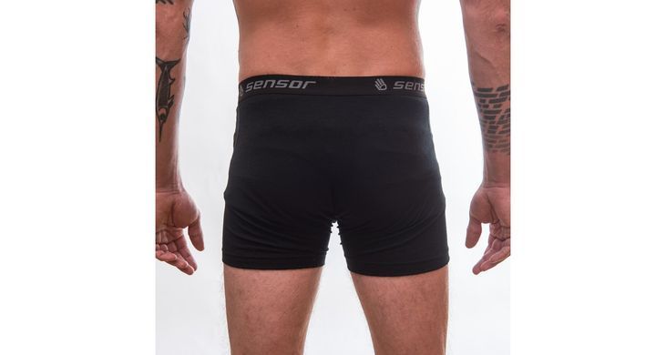 Thermal underpants for men Sensor Merino Active black, Black, S