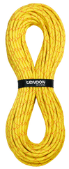 Мотузка статична Tendon Salamander 10.2, C102TS31S100C, 100 м