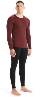 Thermal T-shirt for men Icebreaker 200 Oasis LS Crewe MEN espresso, S