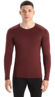 Thermal T-shirt for men Icebreaker 200 Oasis LS Crewe MEN espresso, S
