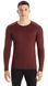 Thermal T-shirt for men Icebreaker 200 Oasis LS Crewe MEN espresso, S