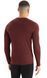 Thermal T-shirt for men Icebreaker 200 Oasis LS Crewe MEN espresso, S