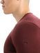Thermal T-shirt for men Icebreaker 200 Oasis LS Crewe MEN espresso, S