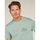 Thermal T-shirt for men Icebreaker M Mer 150 Tech Lite SS T IB BackPack moss, L