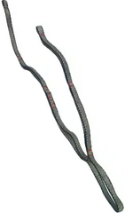 Double progression lanyard First Ascent Twilite 75/50 Dyneema, FA 1040931