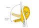 Descender device Petzl I'D S, D020AA00
