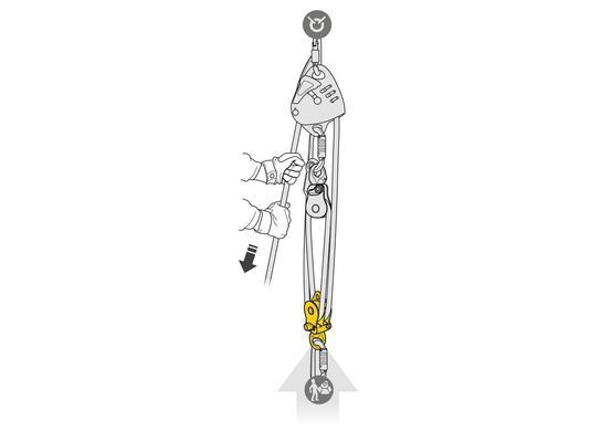 Блок-ролик подвійний з вертлюгом Petzl Spin L2 blaсk, P001CA01