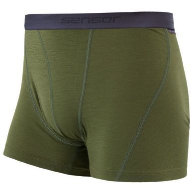 Thermal underpants for men Sensor Merino Active safari, Black, S