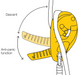 Descender device Petzl I'D L black, D020BA01