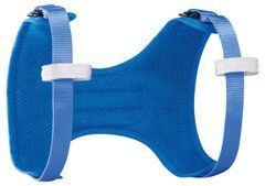 Chest harness for children Petzl Body Blue, C018BA00, UNI