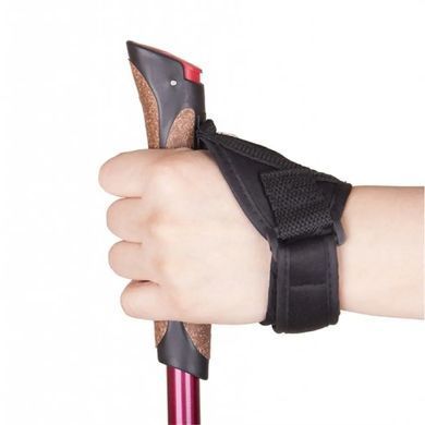 Poles for Nordic walking Tramp Fitness, TRR-011