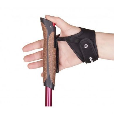 Poles for Nordic walking Tramp Fitness, TRR-011