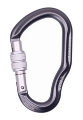 Carabiner First Ascent Dizzy black, FA7102