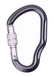 Carabiner First Ascent Dizzy black, FA7102