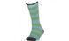 Термошкарпетки дитячі Lorpen S2KB Kid's Merino Ski 2 Pack stripey willow KidsXS