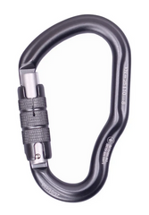 Carabiner First Ascent Dizzy Autolock black, FA7101