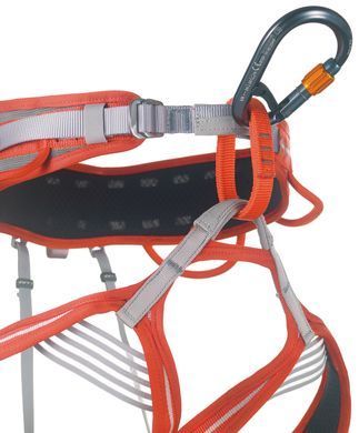 Carabiner Camp Core Belay Lock, 2926