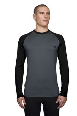 Thermal T-shirt for men Icebreaker BF 260 LS Crewe MEN charcoal/black, L