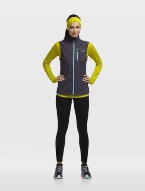Термофутболка з довгим рукавом жіноча Icebreaker Pace LS Half Zip WОMEN chartreuse/glacier XS