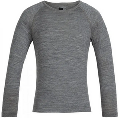 Термофутболка дитяча Icebreaker Kids 200 Oasis LS Crewe gritstone, 2