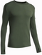 Thermal T-shirt for men Icebreaker BF 260 Apex LS Crewe conifer/balsam, L