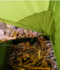 Sanitary tent Tribe Shower Pro (shower/toilet), T-AC-0001-olive