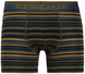 Термотруси чоловічі Icebreaker Anatomica Boxers curry, S