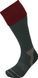 Термошкарпетки Lorpen HWS T2 Hunting Wader conifer/deep red M