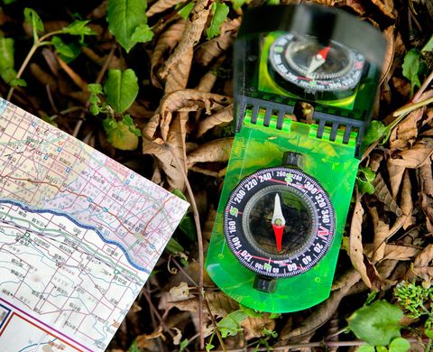 Compass AceCamp Folding Map Compass With Mirror, 3109