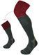 Термошкарпетки Lorpen HWS T2 Hunting Wader conifer/deep red M