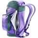 Рюкзак Deuter Lake Placid 27 L violet-citrus