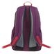 Рюкзак Deuter Nomi 16 L plum-cardinal