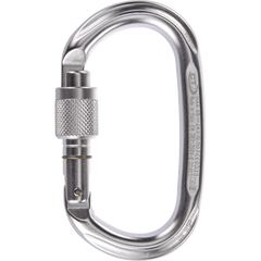 Carabiner Climbing Technology Pillar SG silver, 2C46300XTB