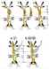 Chest harness for sit harness Travel Extreme , FA 1022 021, L/XL (chest circumference > 85 cm)