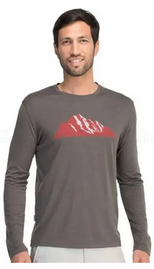 Thermal T-shirt for men Icebreaker Tech T Lite LS MEN Roots trail, S
