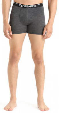 Thermal underpants for men Icebreaker Anatomica Boxers MEN jet hthr, L