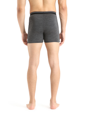 Thermal underpants for men Icebreaker Anatomica Boxers MEN jet hthr, L