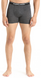 Thermal underpants for men Icebreaker Anatomica Boxers MEN jet hthr, L