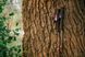 Trekking poles Tramp Carbon, TRR-015