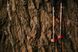 Trekking poles Tramp Carbon, TRR-015