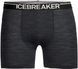 Thermal underpants for men Icebreaker Anatomica Boxers MEN jet hthr, L