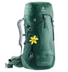 Backpack Deuter Futura 28 SL seagreen-forest