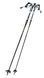 Trekking poles Tramp Route, TRR-012